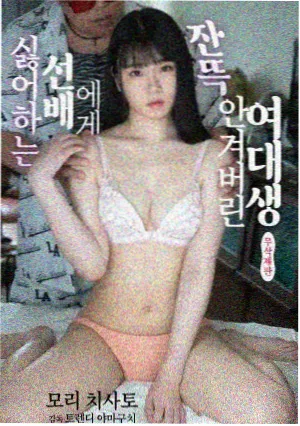 龙猫角色卡片